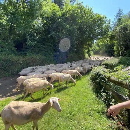 Calouze בית נופש